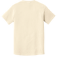 Comfort Colors 1717