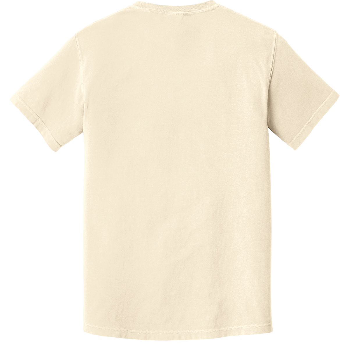 Comfort Colors 1717