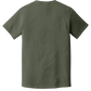 Comfort Colors 1717