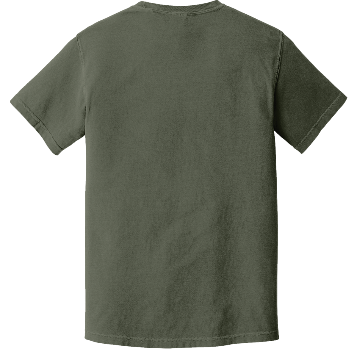 Comfort Colors 1717