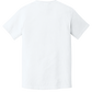Comfort Colors 1717