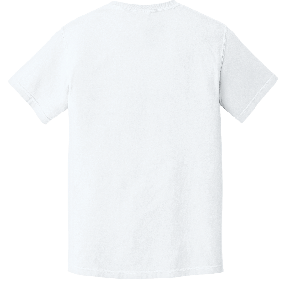 Comfort Colors 1717